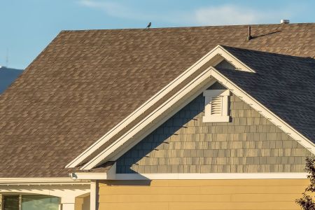 Do I Really Need To Clean My Roof And Gutters Every Year?